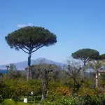 Angelina Suite B&B - Sorrento Centro