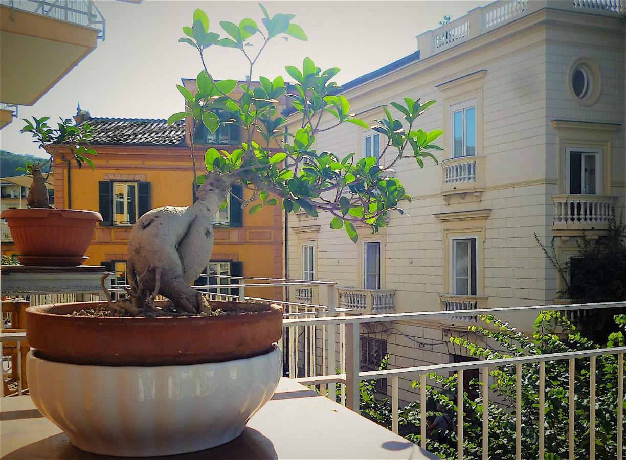 Angelina - Centro Sorrento